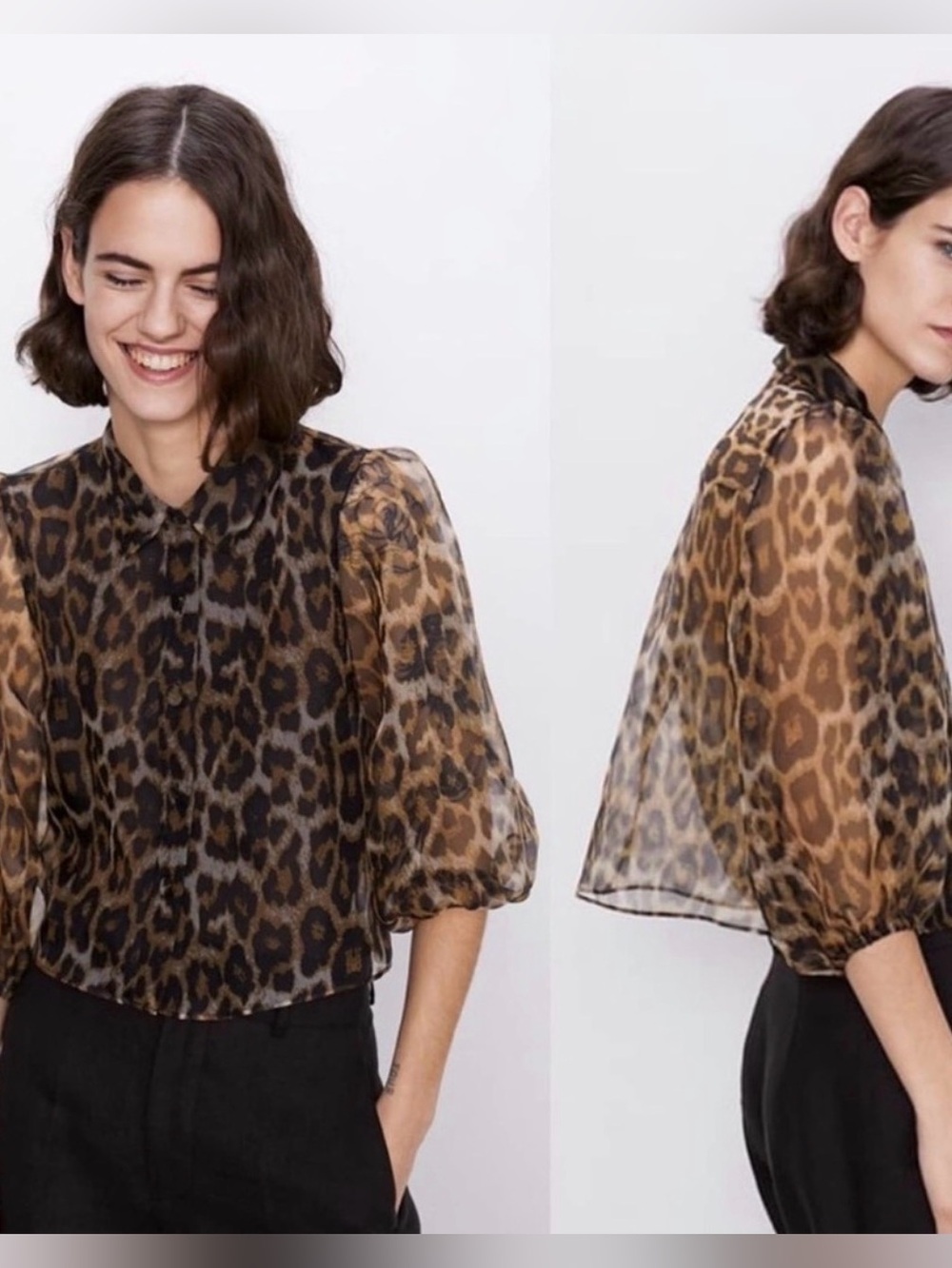Zara animal print sheer blouse | Brown | Size Small
